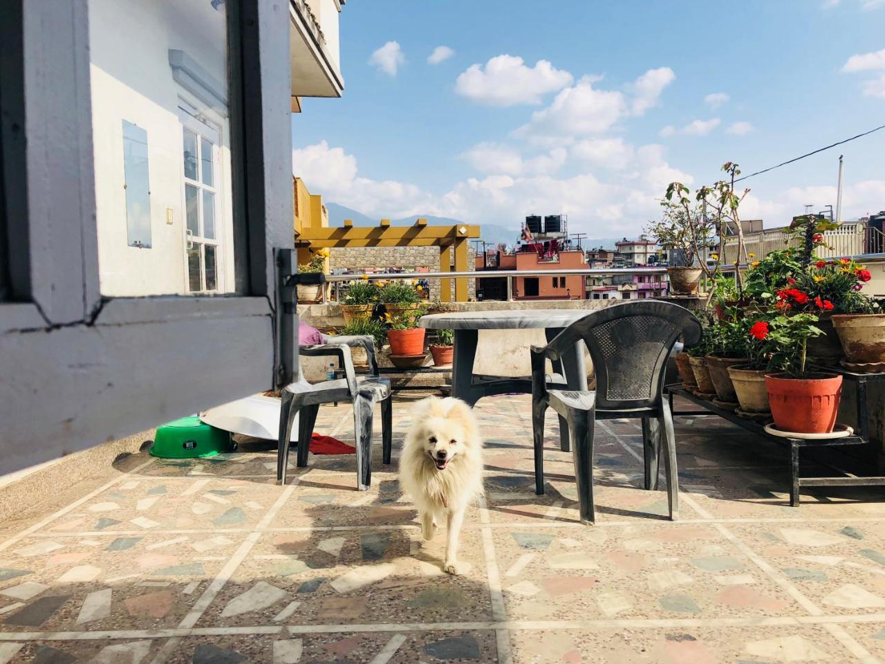 Kaji Home Patan Kültér fotó